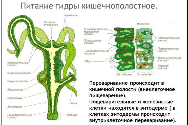 Кракен сайт 13at