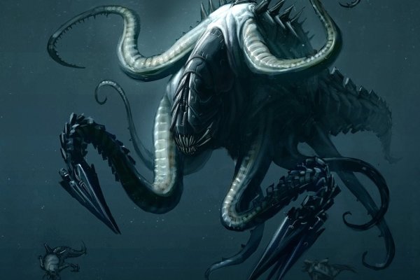 Kraken marketplace